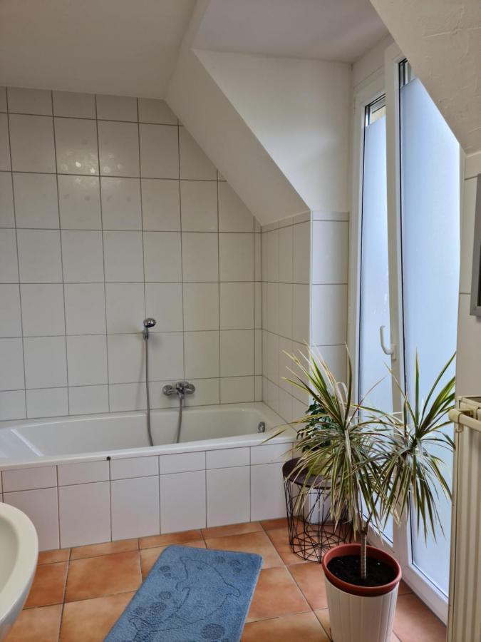 Lichtdurchflutetes Zimmer - Mainwiesen Apartamento Waldbuttelbrunn Exterior foto